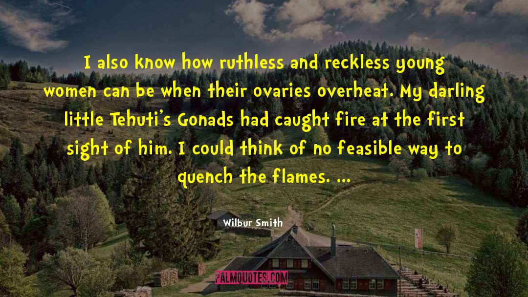 Feasible quotes by Wilbur Smith