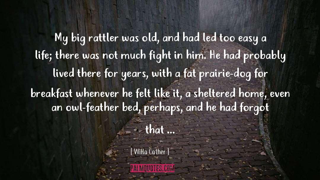 Feather Fans quotes by Willa Cather