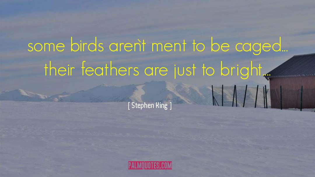 Feathers quotes by Stephen King