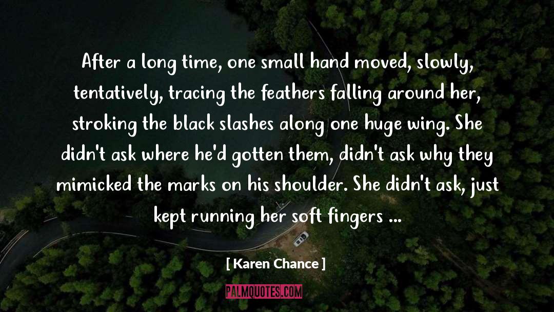 Feathers quotes by Karen Chance