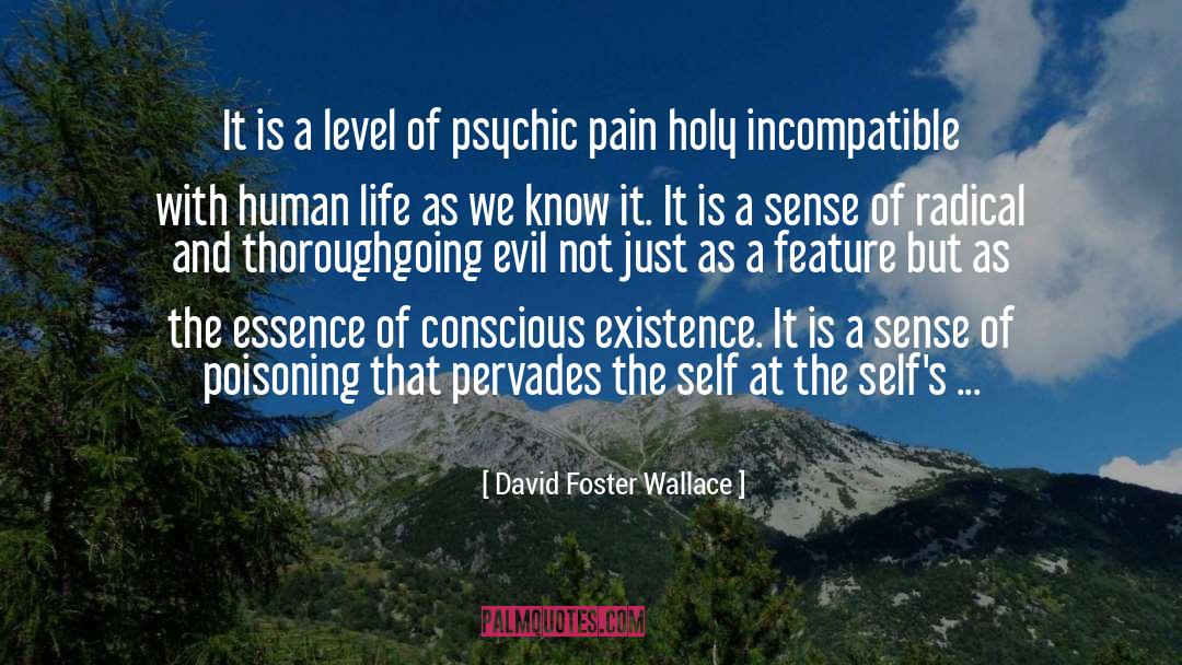 Feature quotes by David Foster Wallace
