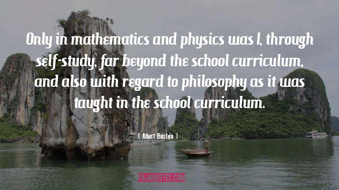 Features Of Curriculum quotes by Albert Einstein