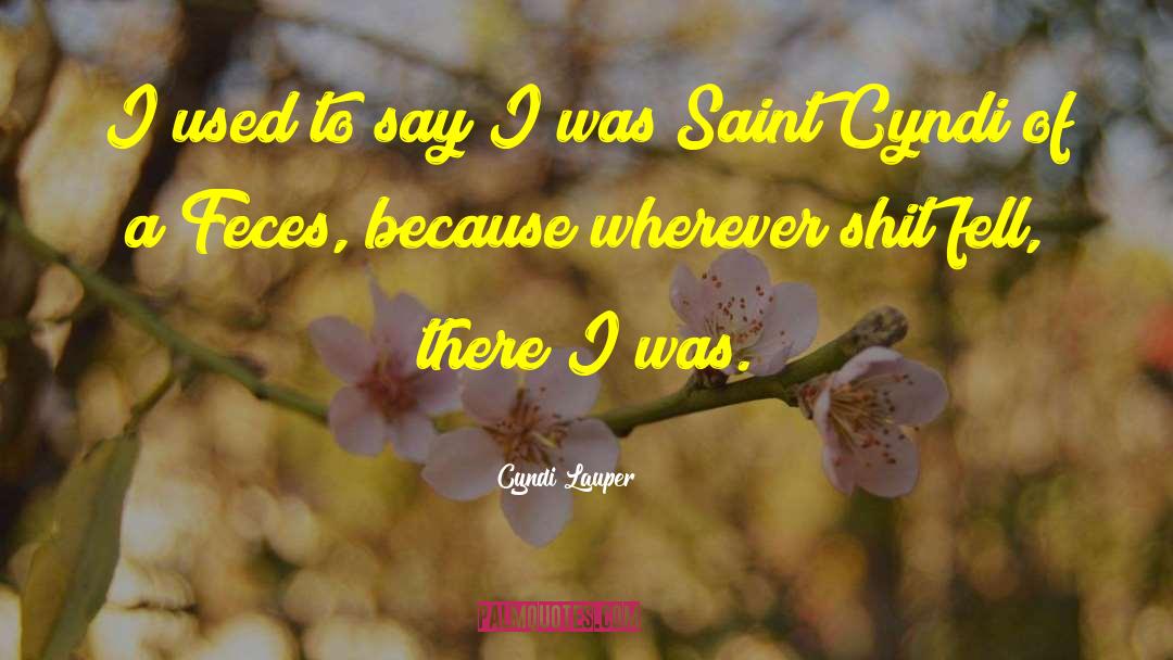 Feces quotes by Cyndi Lauper
