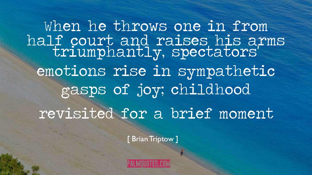 Federal Court quotes by Brian Triptow