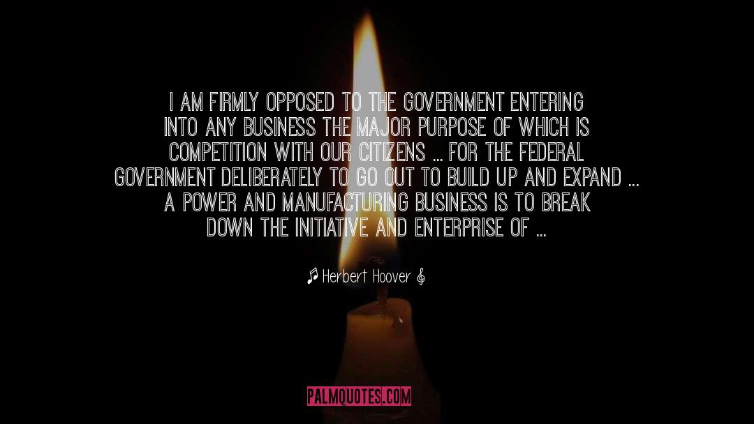 Federal Government quotes by Herbert Hoover