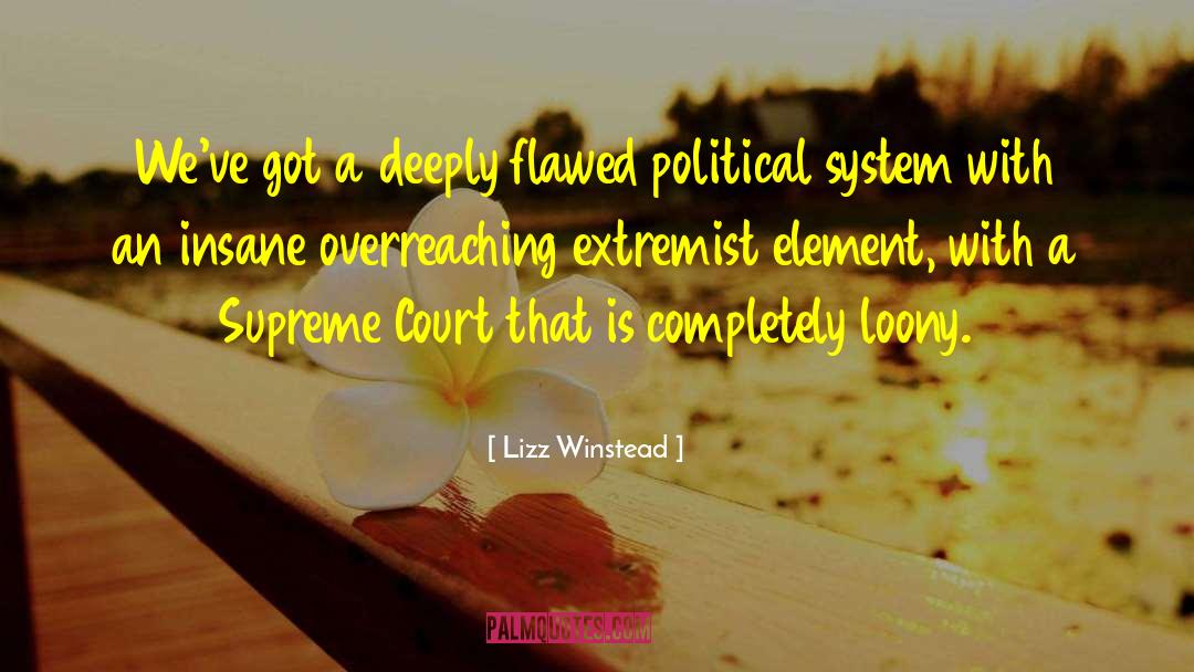 Federative System quotes by Lizz Winstead