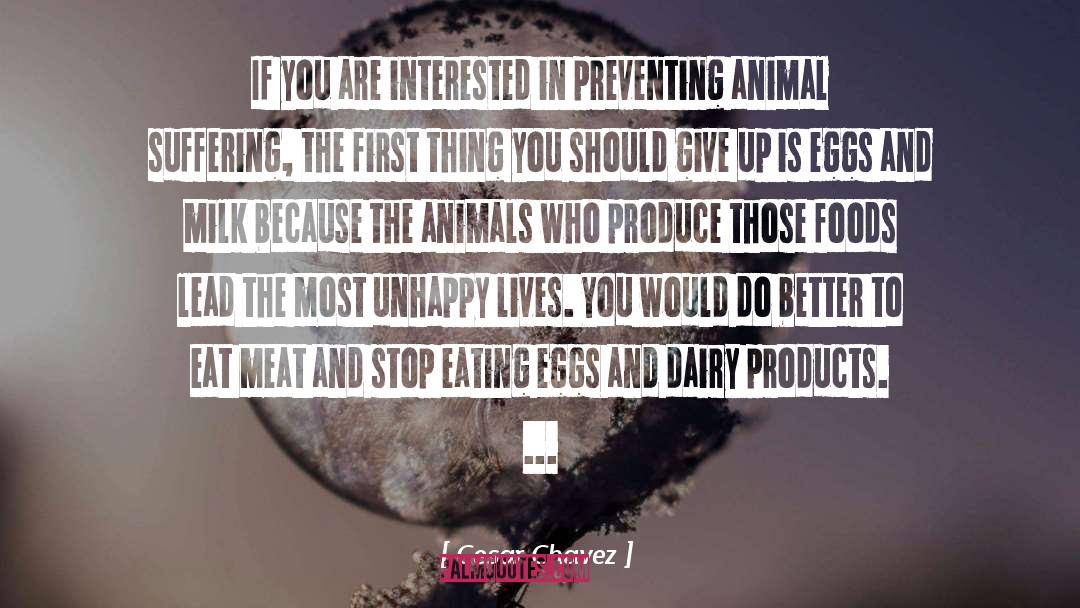 Feed The Animals quotes by Cesar Chavez