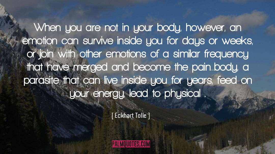 Feed Your Thoughts quotes by Eckhart Tolle