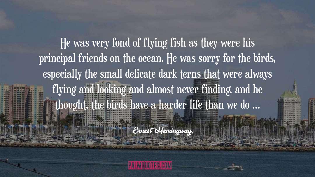 Feeding Birds quotes by Ernest Hemingway,