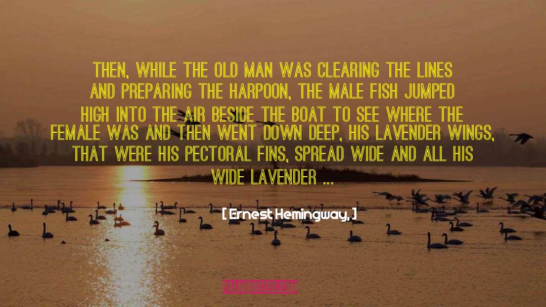 Feeding Fish quotes by Ernest Hemingway,