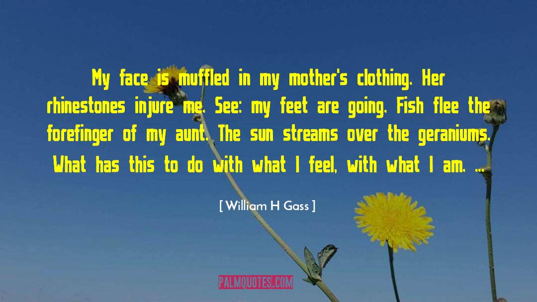 Feeding Fish quotes by William H Gass