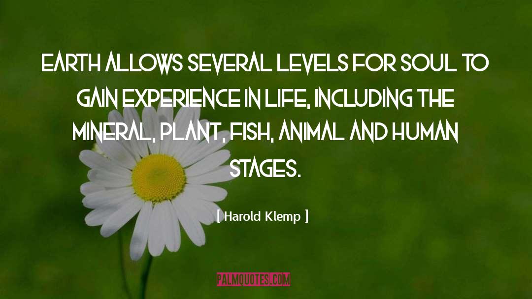 Feeding Fish quotes by Harold Klemp