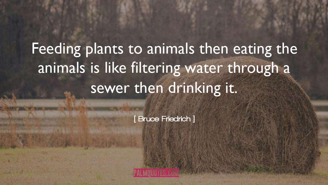 Feeding Gators quotes by Bruce Friedrich