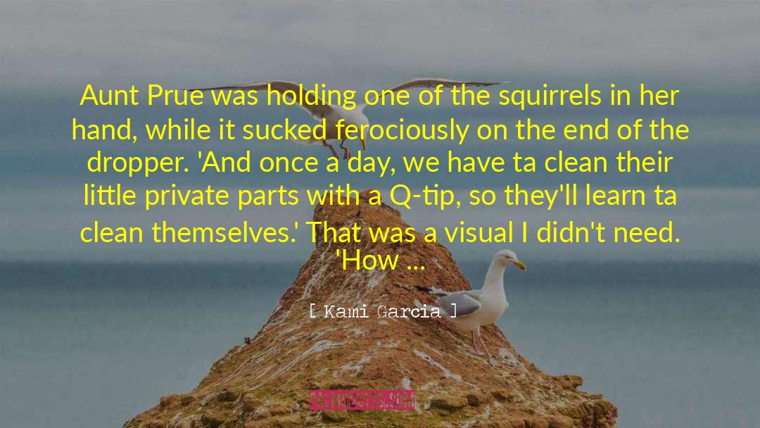 Feeding The Squirrels A Novella quotes by Kami Garcia