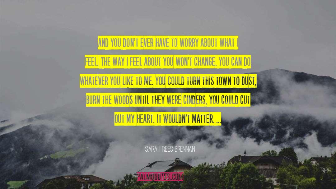 Feel About You quotes by Sarah Rees Brennan