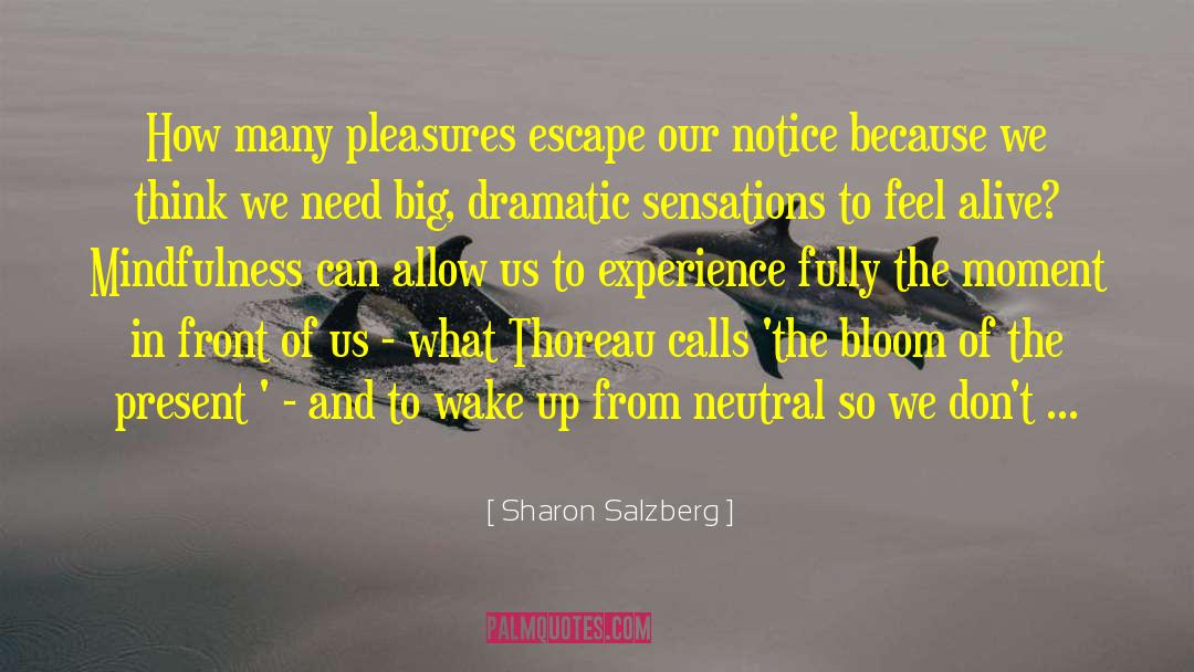 Feel Alive quotes by Sharon Salzberg