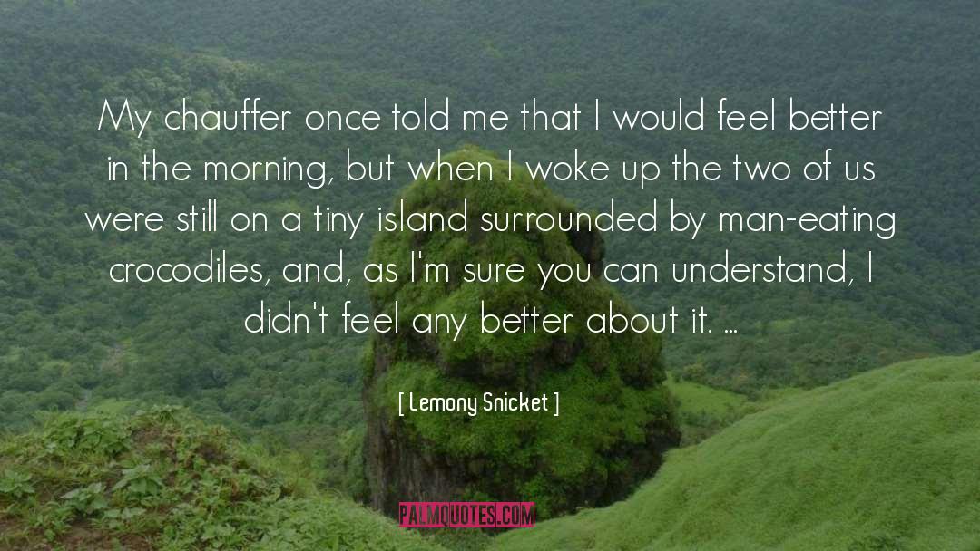 Feel Better quotes by Lemony Snicket