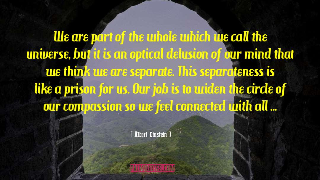 Feel Connected quotes by Albert Einstein