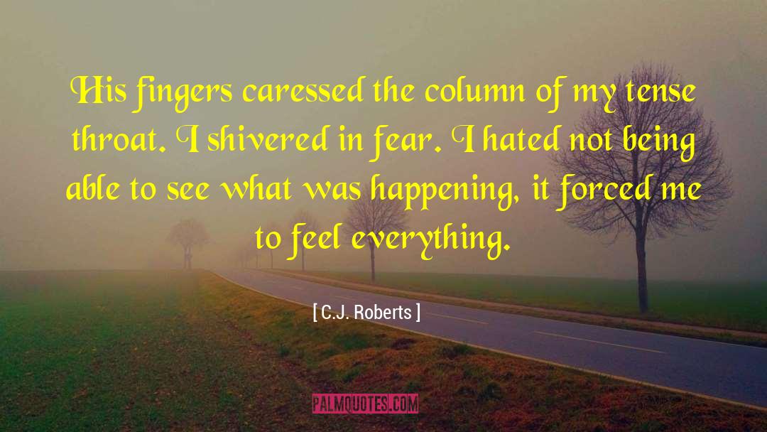 Feel Everything quotes by C.J. Roberts