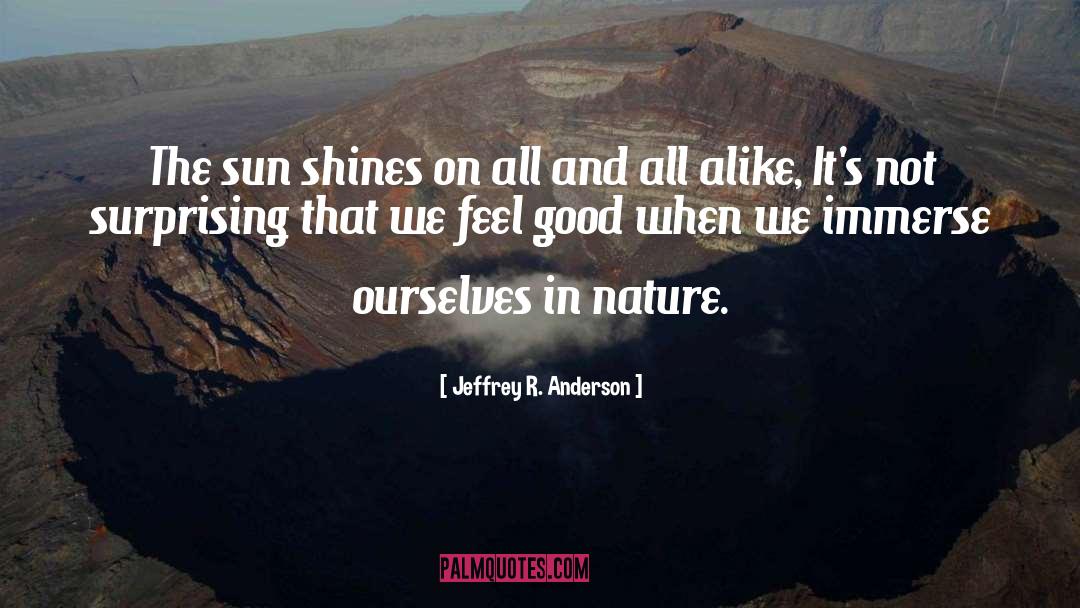 Feel Good quotes by Jeffrey R. Anderson