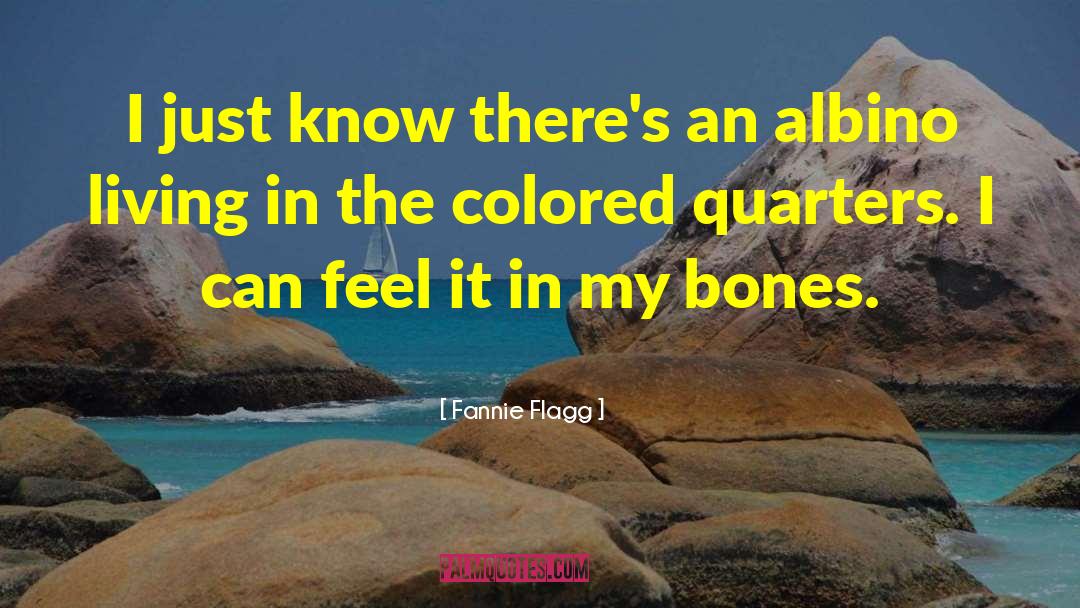 Feel It In My Bones quotes by Fannie Flagg