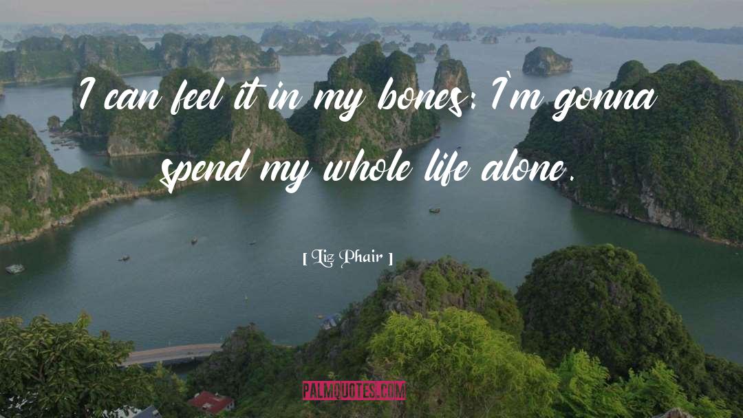 Feel It In My Bones quotes by Liz Phair