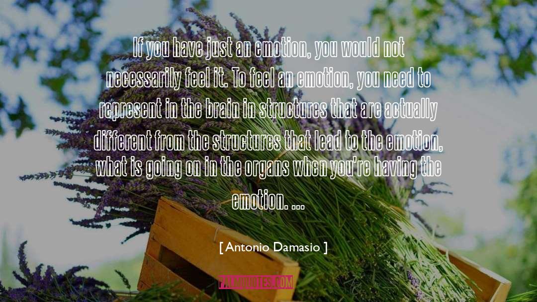 Feel It quotes by Antonio Damasio