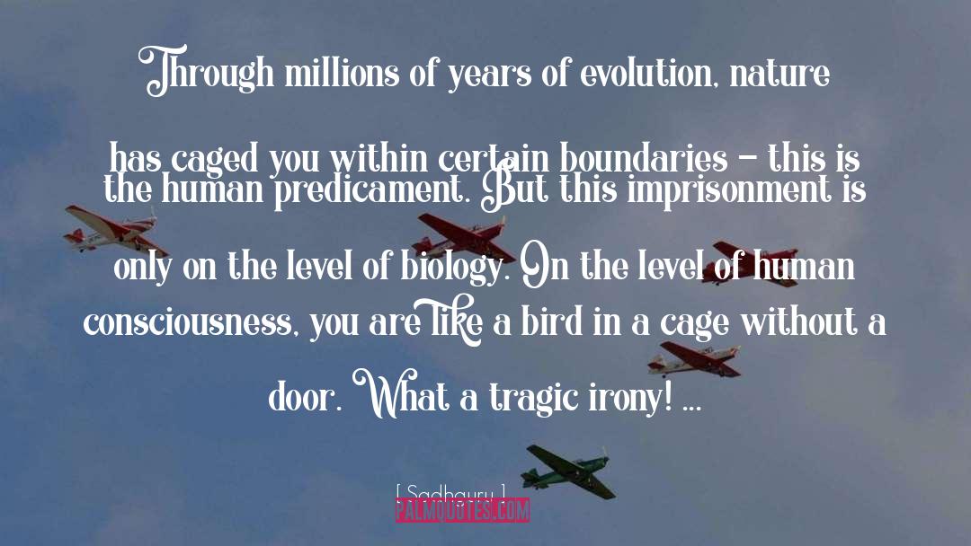 Feel Like A Bird Without Wings quotes by Sadhguru