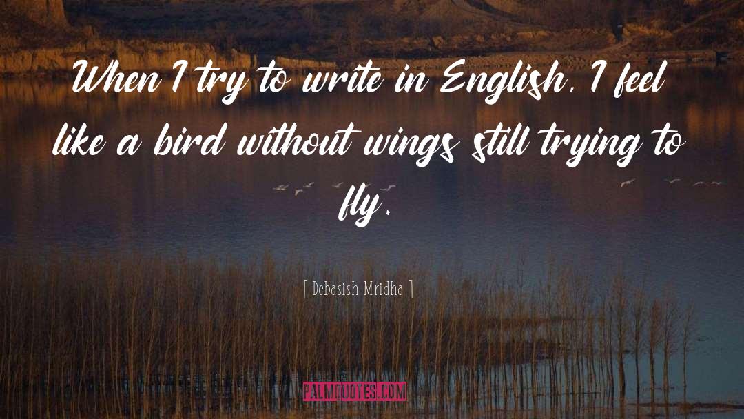 Feel Like A Bird Without Wings quotes by Debasish Mridha