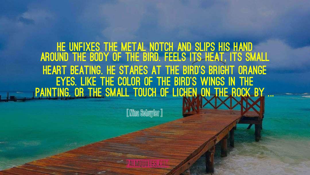 Feel Like A Bird Without Wings quotes by Nina Schuyler