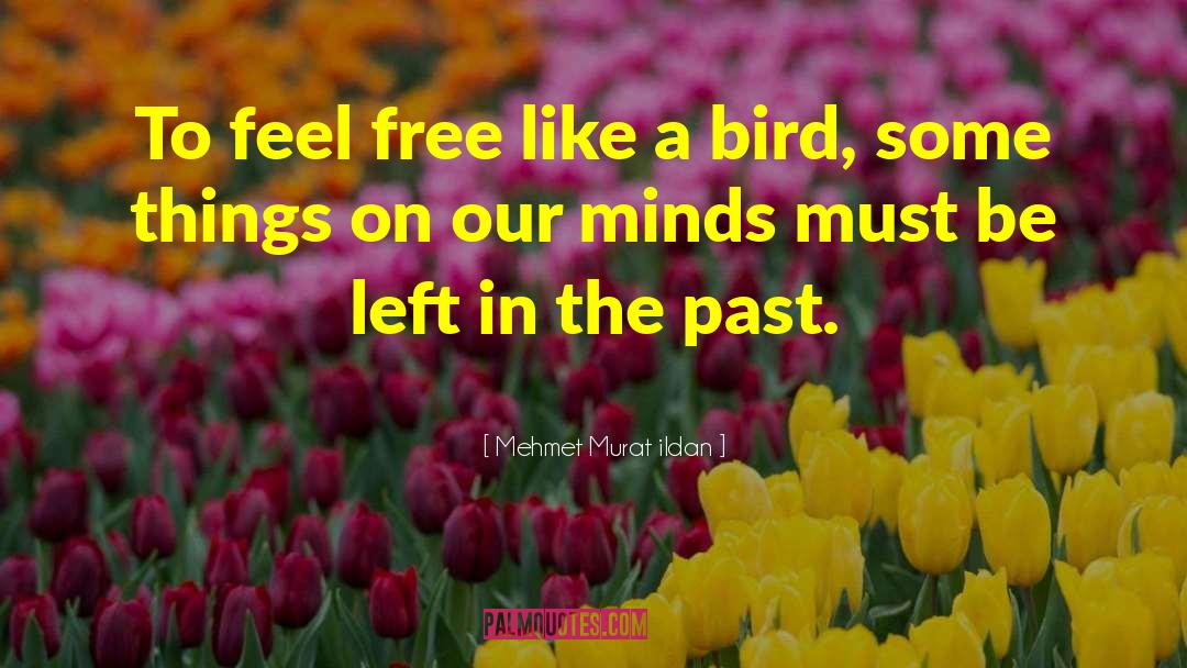 Feel Like A Bird Without Wings quotes by Mehmet Murat Ildan