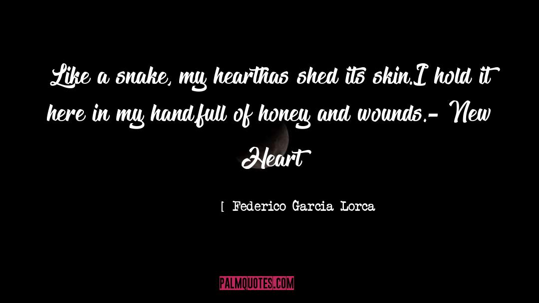 Feel My Heart quotes by Federico Garcia Lorca