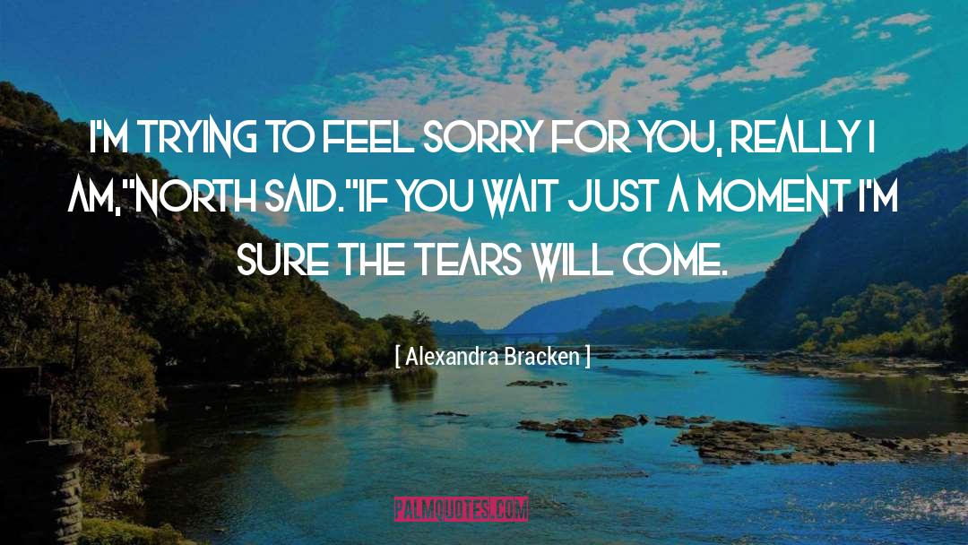 Feel Sorry For You quotes by Alexandra Bracken