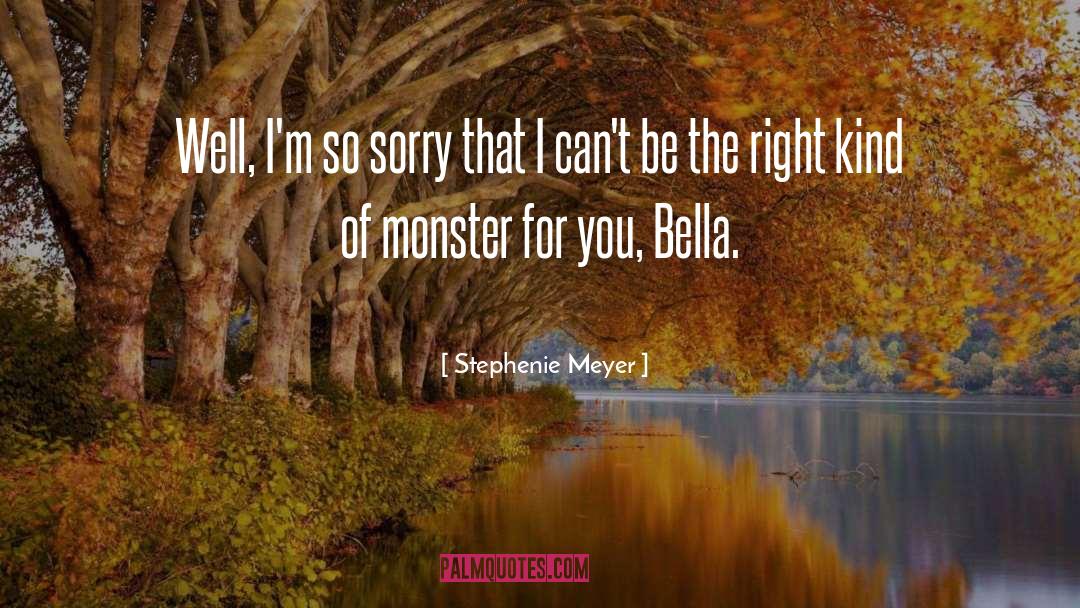 Feel Sorry For You quotes by Stephenie Meyer