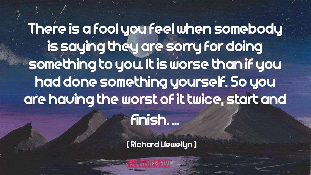Feel Sorry For Yourself quotes by Richard Llewellyn
