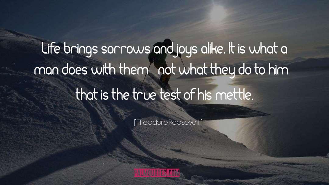 Feel The Joy Of Life quotes by Theodore Roosevelt