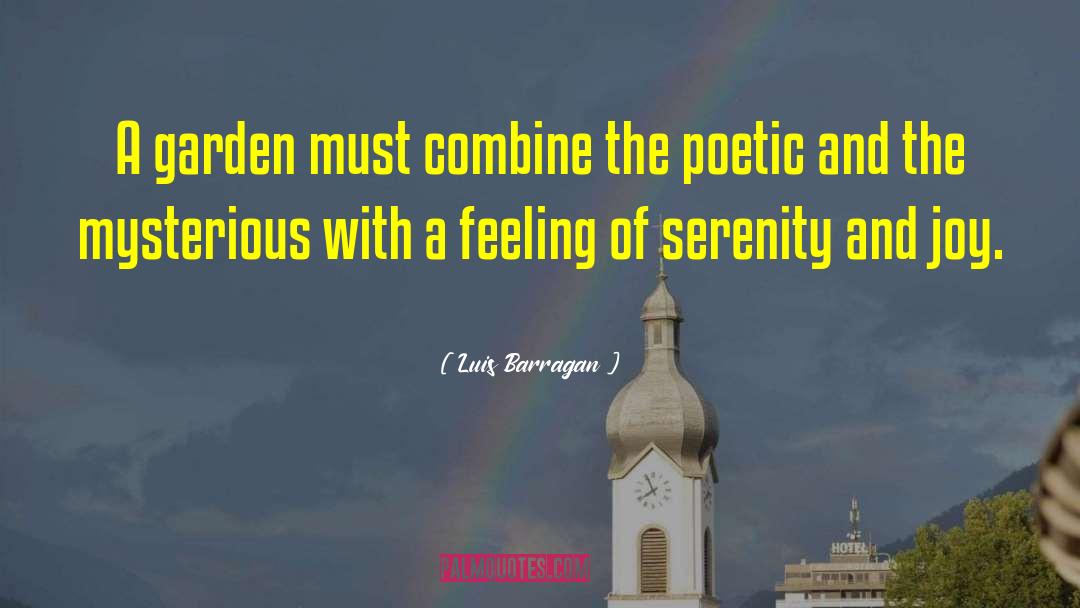 Feel The Joy quotes by Luis Barragan