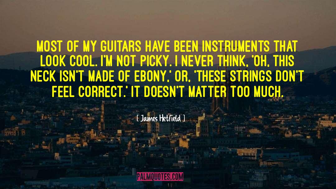 Feel Wonderful quotes by James Hetfield