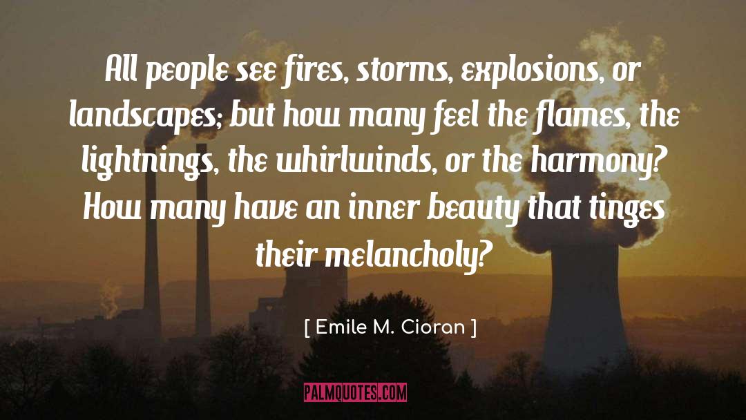 Feel Wonderful quotes by Emile M. Cioran