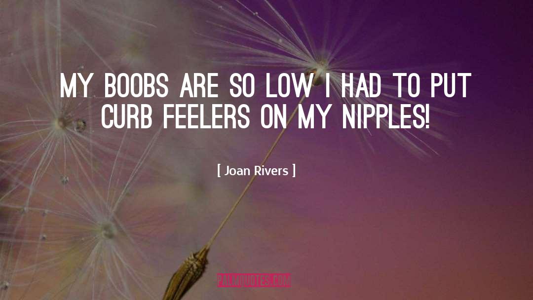 Feeler quotes by Joan Rivers