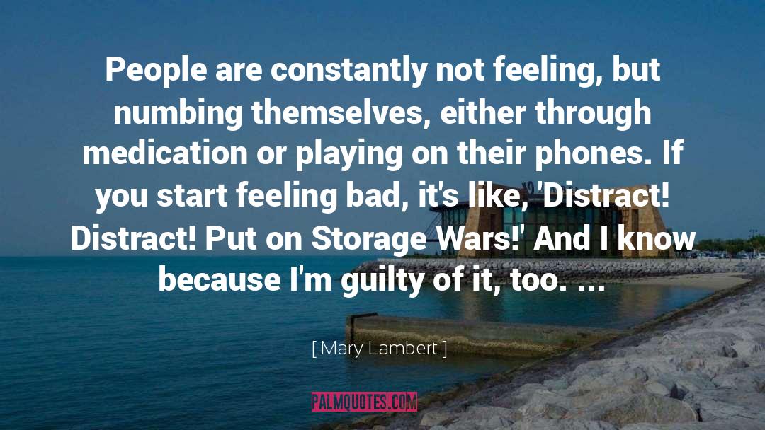 Feeling Bad quotes by Mary Lambert