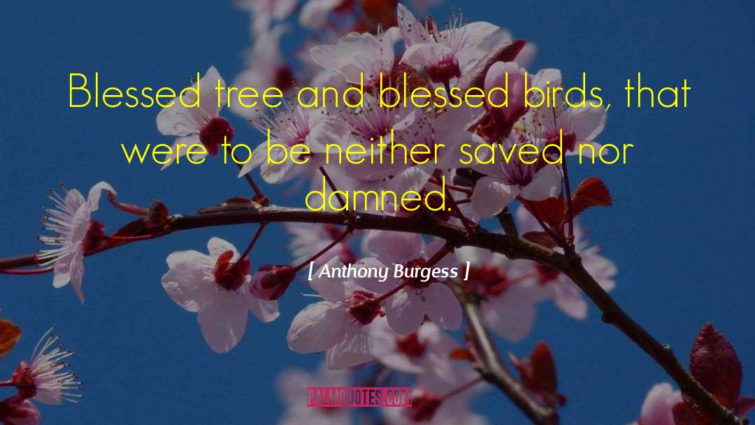 Feeling Blessed Short quotes by Anthony Burgess