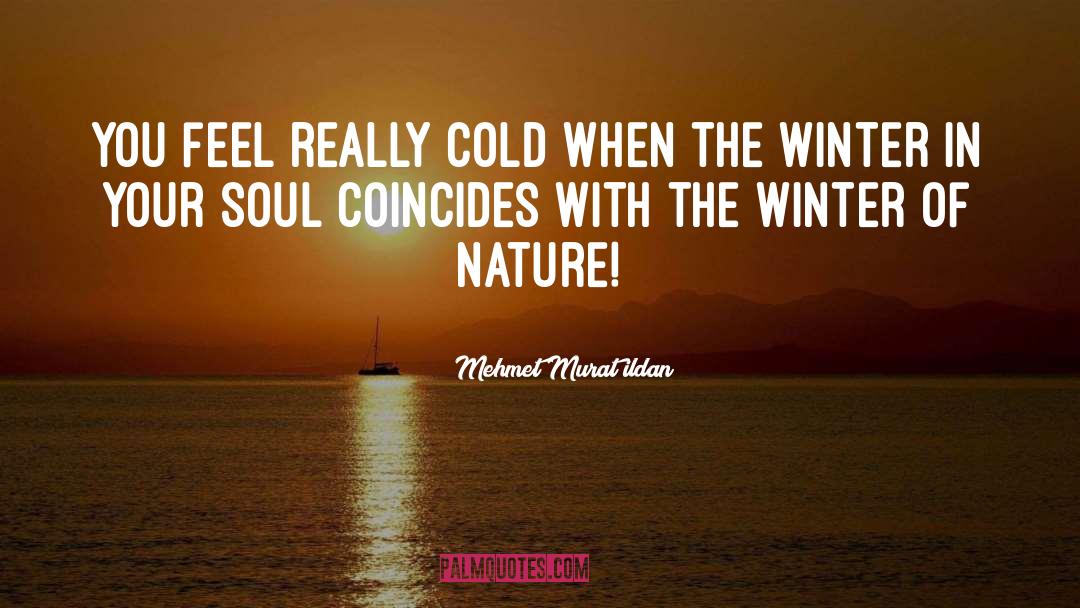 Feeling Cold quotes by Mehmet Murat Ildan