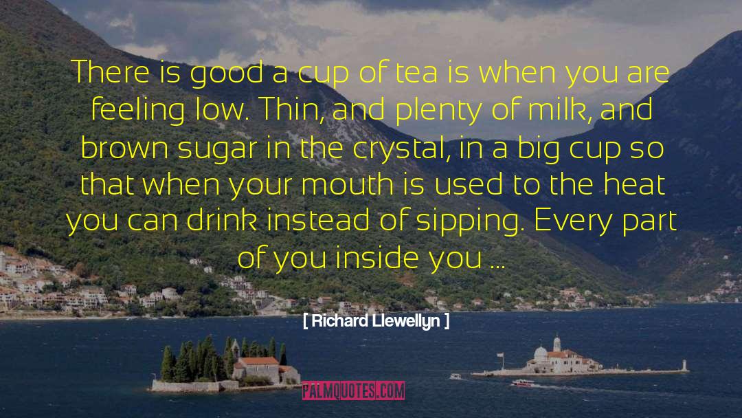 Feeling Comfortable quotes by Richard Llewellyn