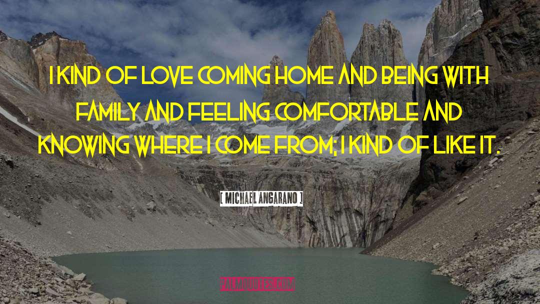 Feeling Comfortable quotes by Michael Angarano