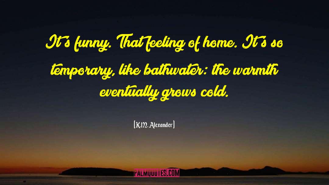 Feeling Crappy quotes by K.M. Alexander