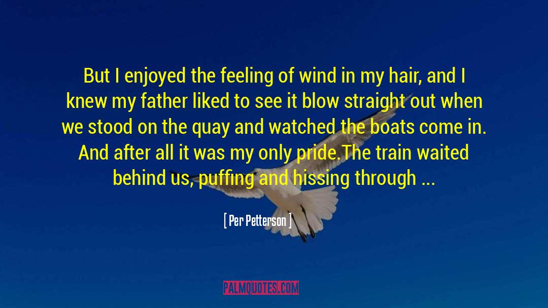 Feeling Grateful quotes by Per Petterson