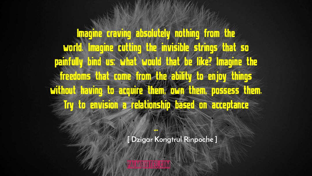 Feeling Invisible In A Relationship quotes by Dzigar Kongtrul Rinpoche