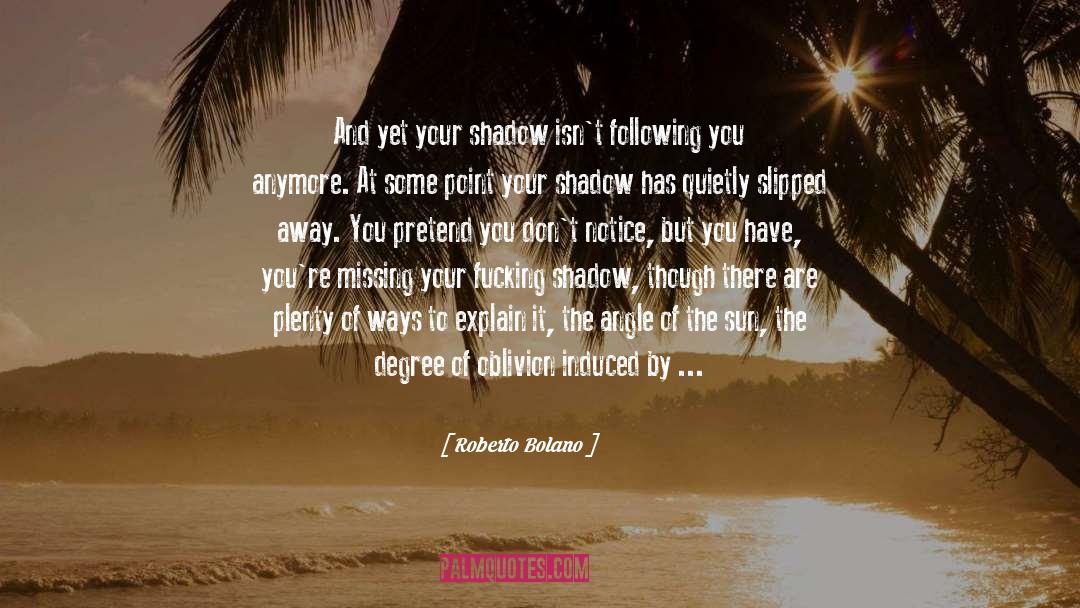Feeling Like Youre Missing Something quotes by Roberto Bolano