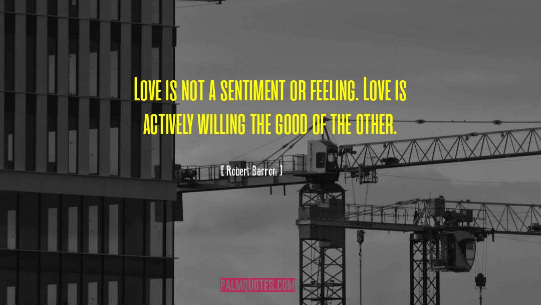 Feeling Love quotes by Robert Barron
